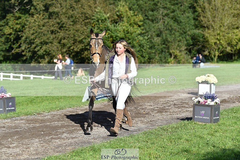 231022-111626-23854 - 558-BATHLEYHILLS.GOLDEN.SPRAY-Cleo.Whitbread-TrotUp+SJ