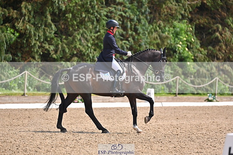 250523A-145754-07410 - B-365-Tom.McEwen-MAESTRO