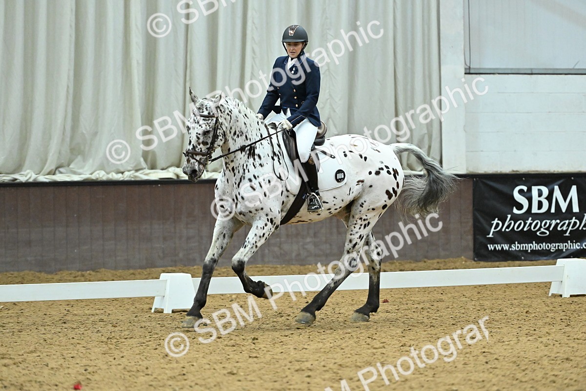 SBM_007513 - Class 81 - Novice 3