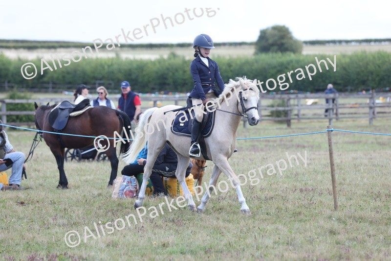 20250831-2366 - Class 16 - Family Pony