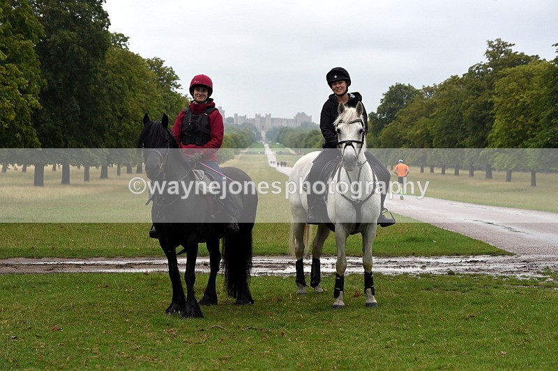 TT3_8073 - Time at Crossing 09:15 to 10:15