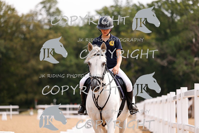 _R6A2417 - Dressage Morning