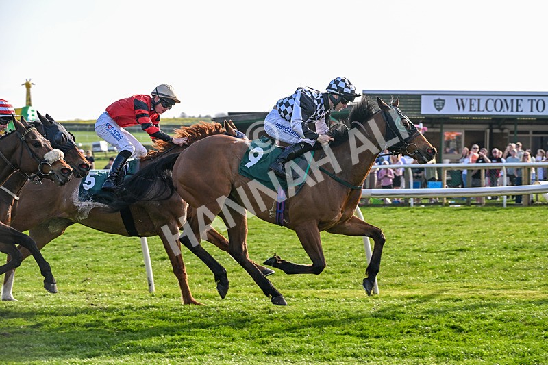 080426-Race 7-Sir Garfield-1216 - Race 7