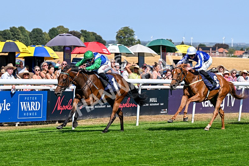 130826-Race 1-Not My Type-7856 - Race 1 14.15pm Racing TV Club Day EBF Fillies' Novice Stakes