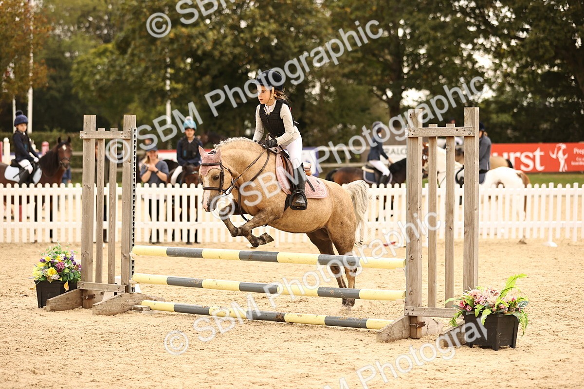 SBM_72694 - J14 - Junior Pony 65cm Championship