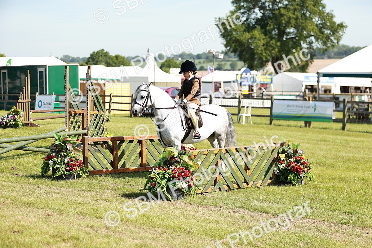 SBM_12714 - Class 106-107 - BSPS LIHS Working Sports Pony