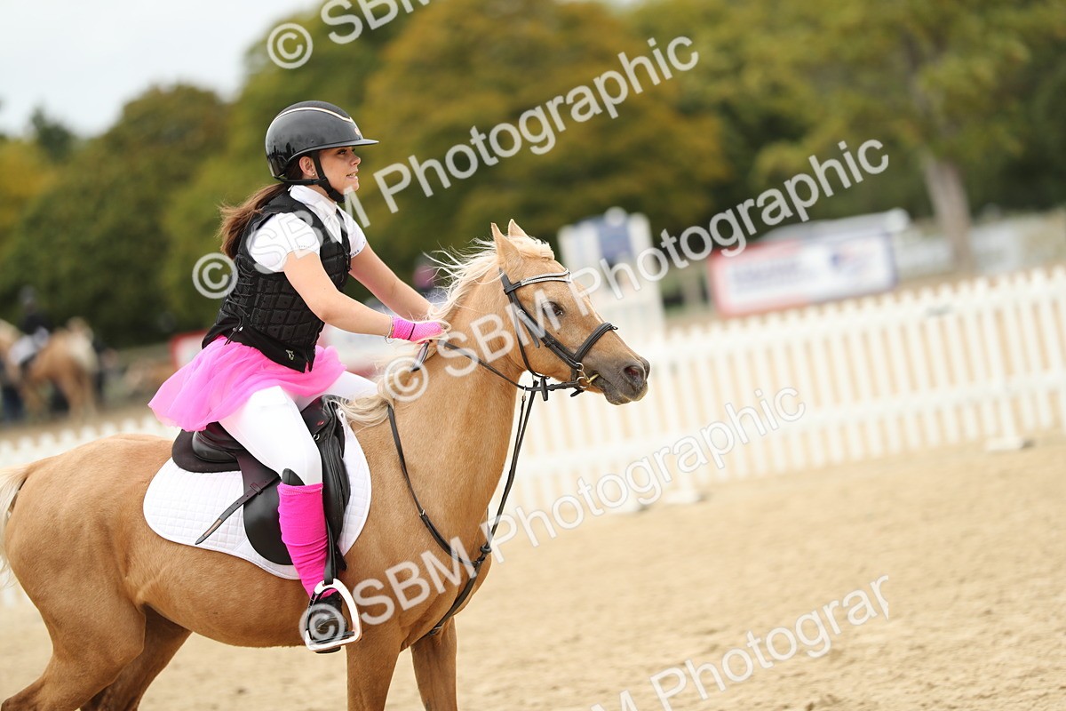 SBM_65784 - J48 - Pairs Jumping Open 70cm & 85cm