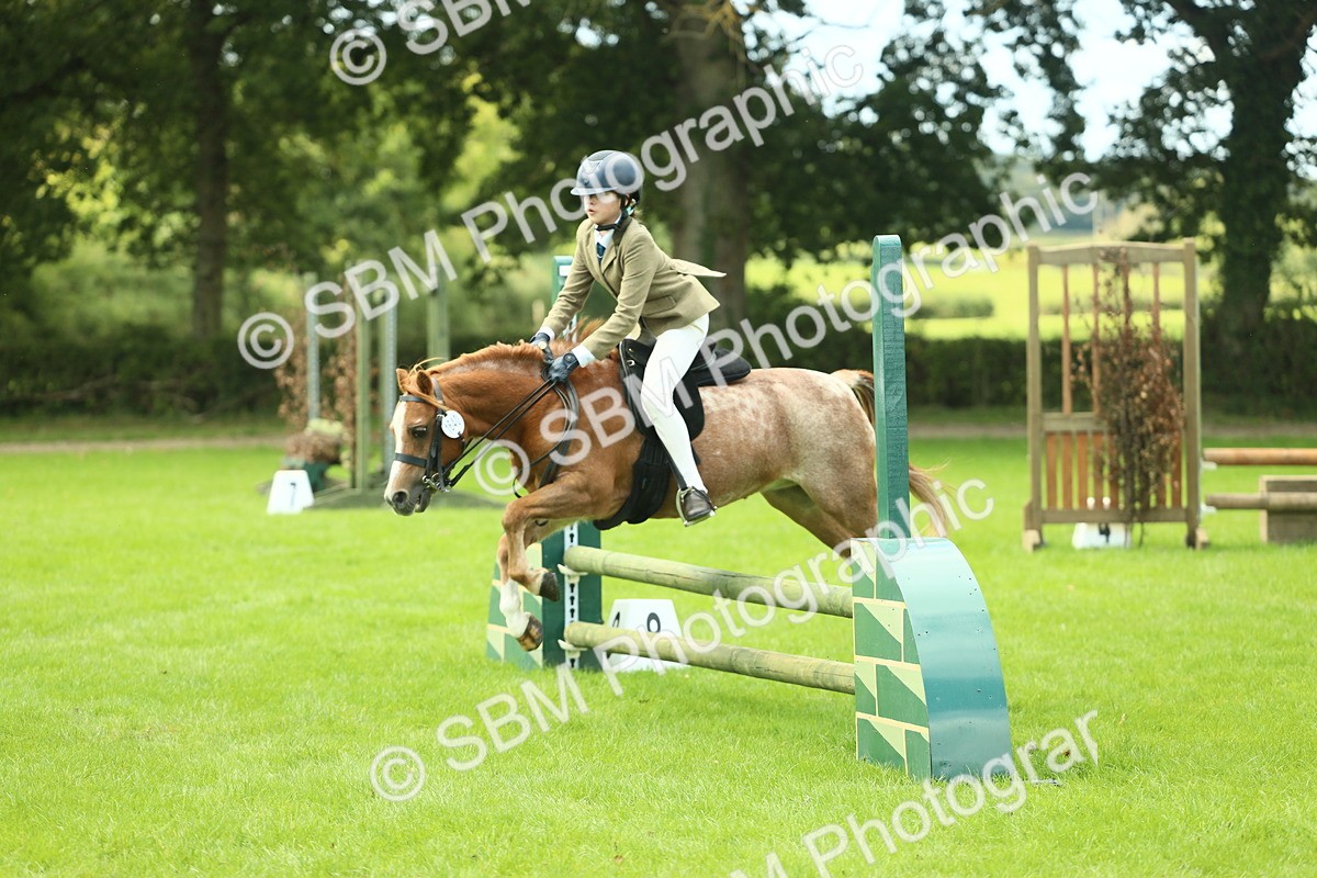 SBM_42739 - S30 - M&M Working hunter Pony
