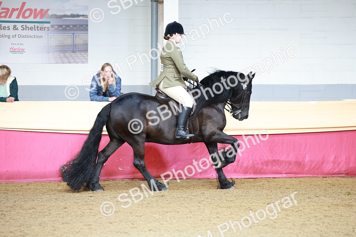 SBM_11876 - Class 102 - Equitation (Best Rider) Adult