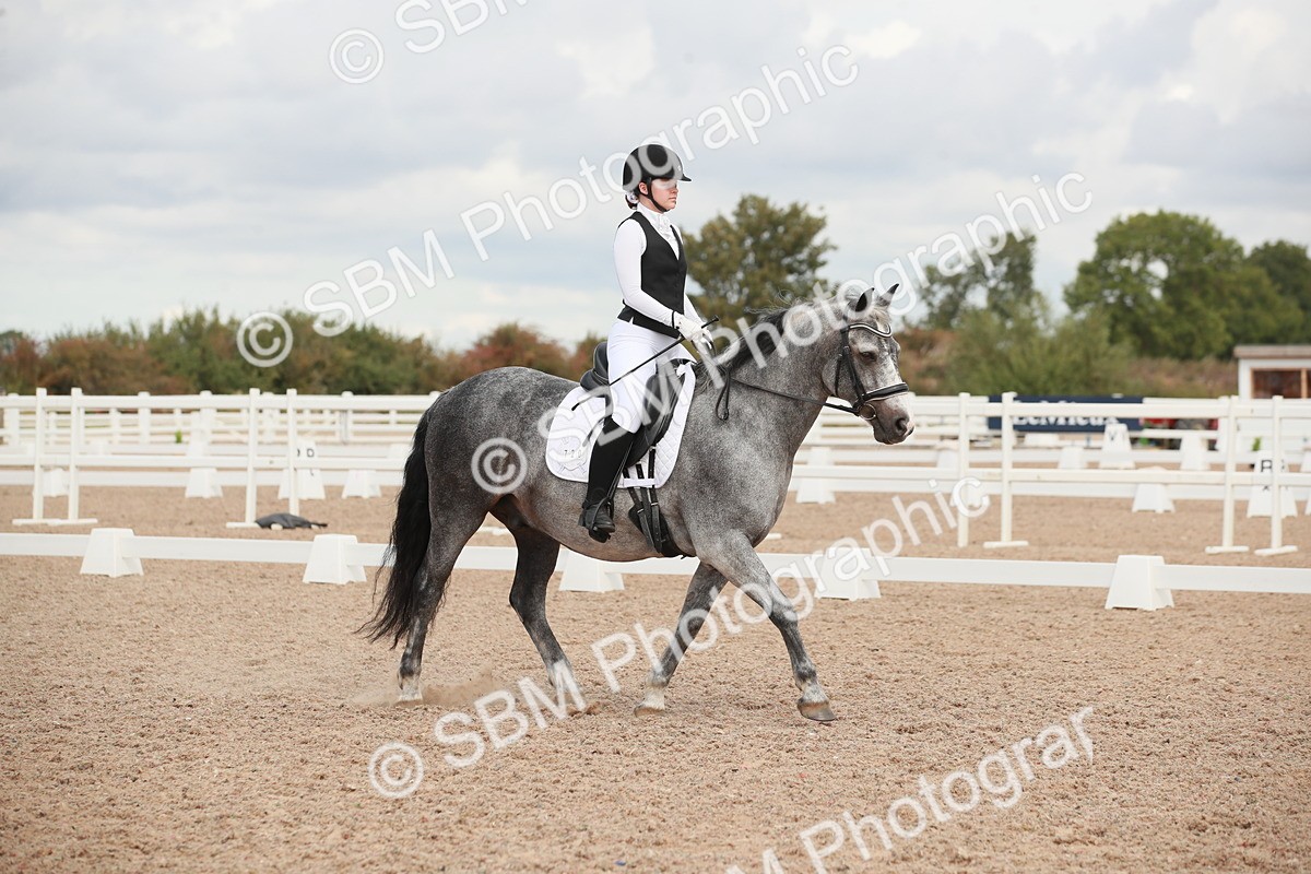 SBM_03920 - Class 31 - Prelim 1