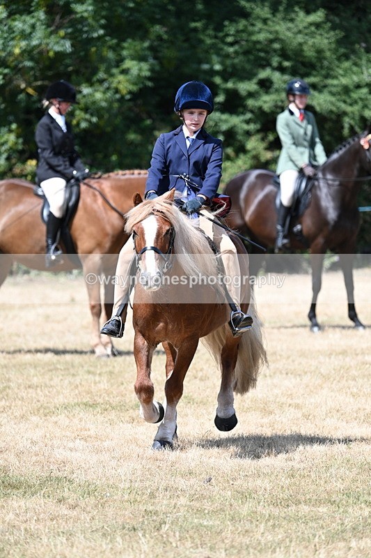 WJ7_3409 - Class 8 Ridden Veterans