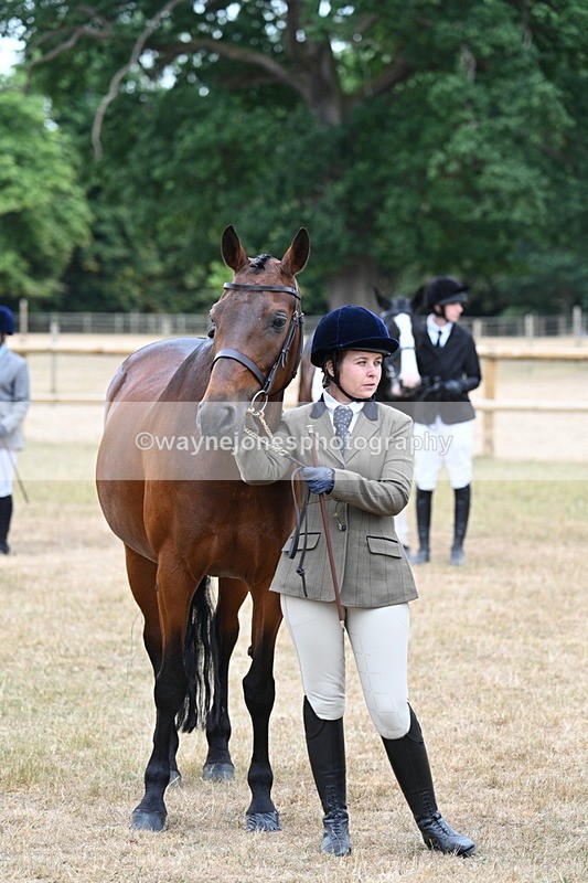 WJ7_9234 - Class 4a Prettiest Mare 14.2hh and over