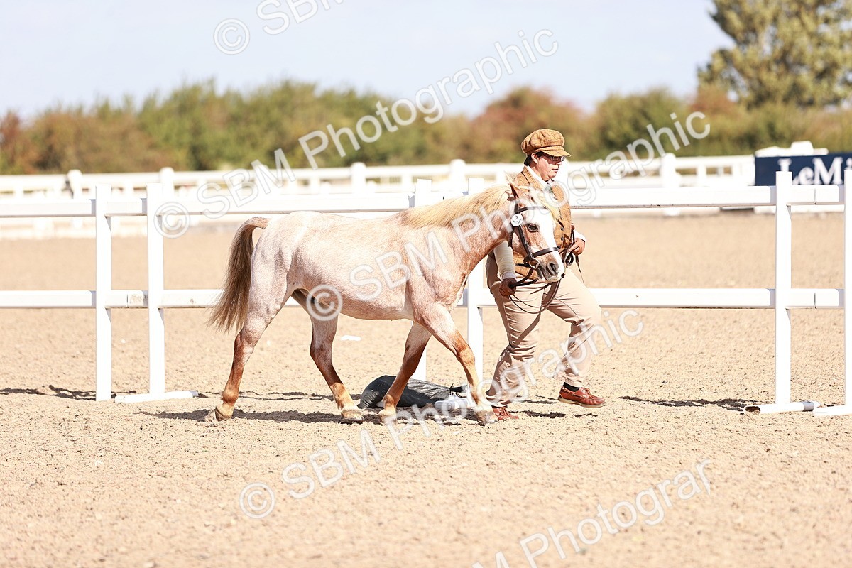 SBM_22885 - Class 706 - IH Veteran
