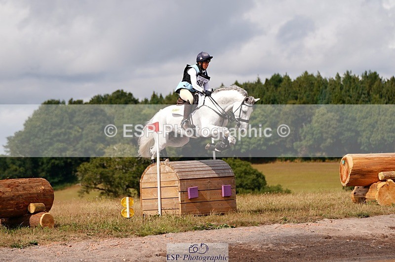 250803A-154938-16702 - O-685-Kitty.King-COOLEY.HOT.SOCKS