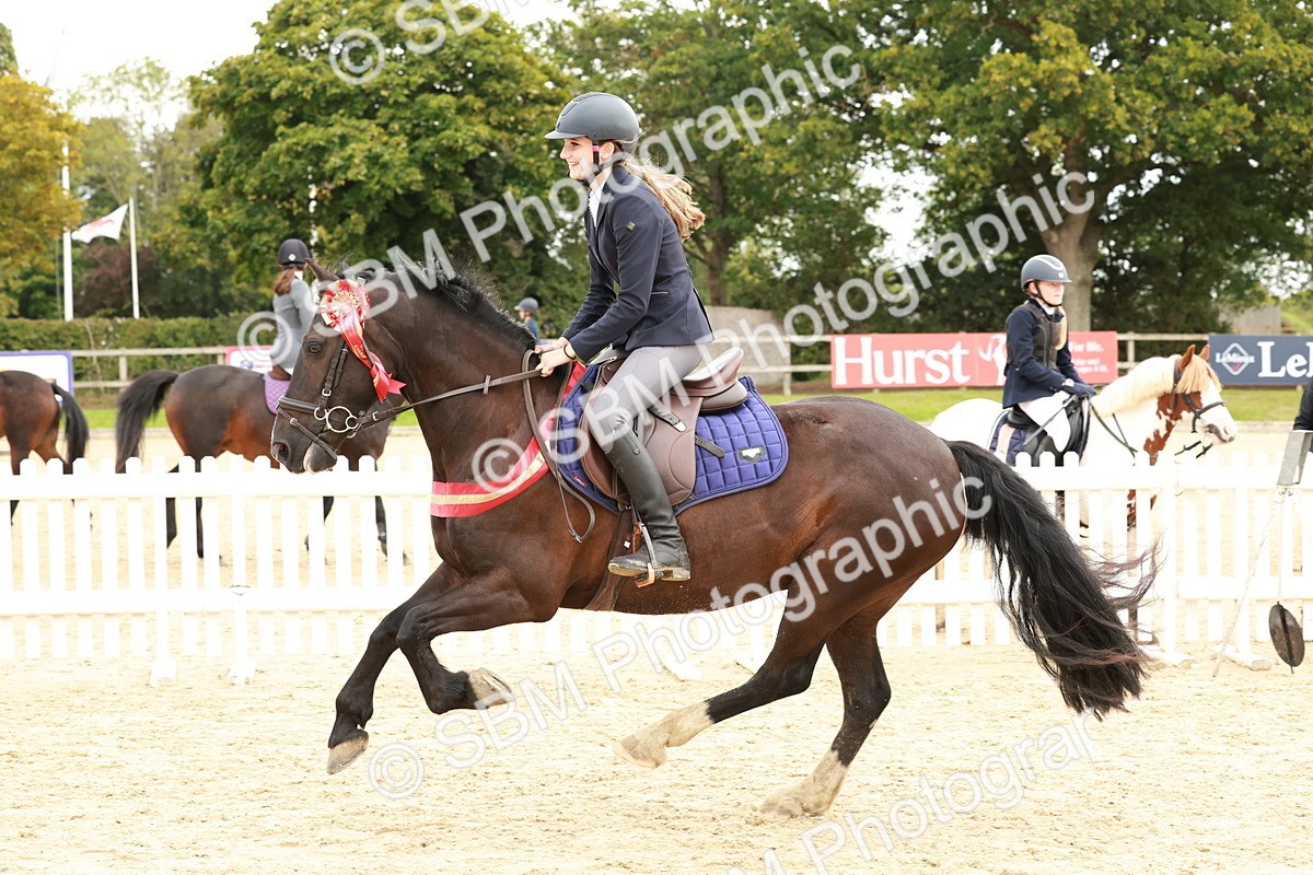 SBM_65348 - Supreme Championship 50cm & 55cm