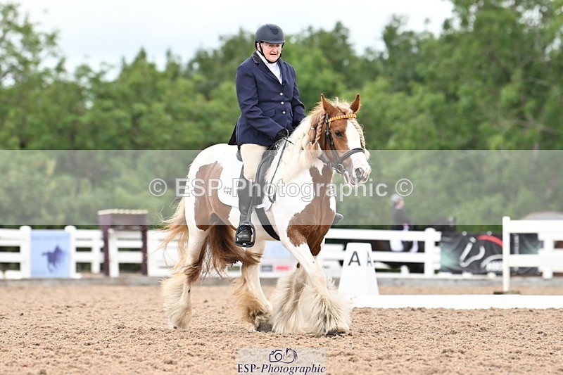 250705-175537-04426 - N2 Section BDNOV2 16.29 to 17.46