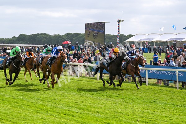 150525-Tropical Storm-4884 - Race 5 4.18pm British Stallion Studs EBF Westow Stakes