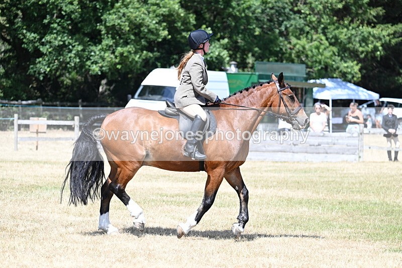 WJ7_3481 - Class 8 Ridden Veterans