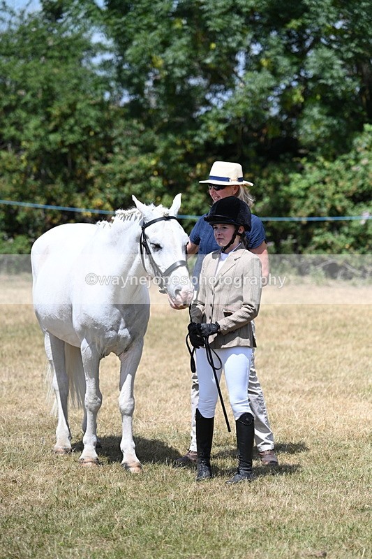 WJ7_2186 - Class 5 Most Handsome Gelding (up to 14.2hh) in hand
