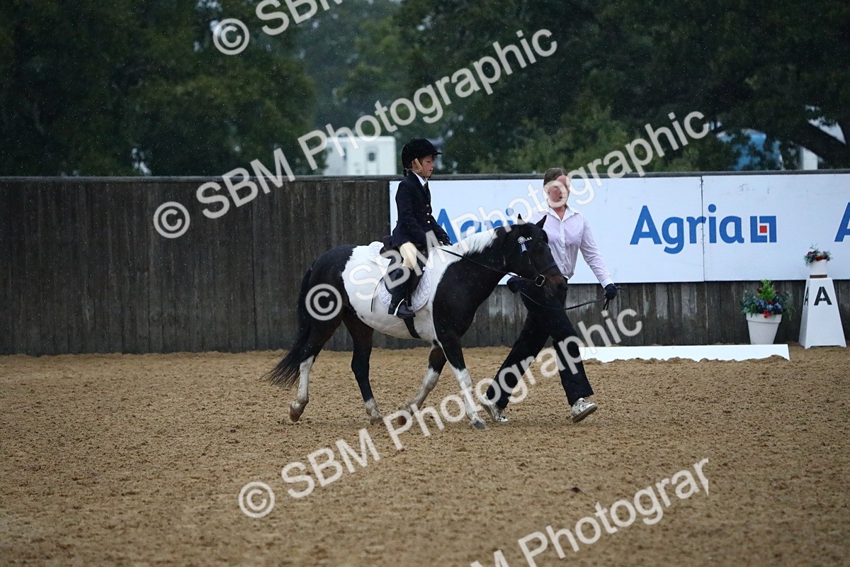 SBM_34677 - D26 - Starters Lead Rein