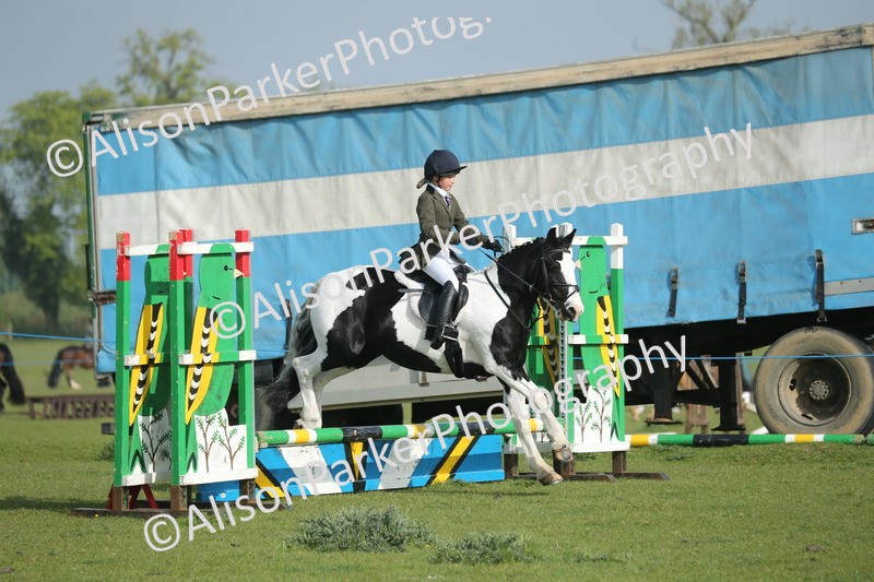 20260426-0020 - Class 13 - Rookie Jumping 50cm