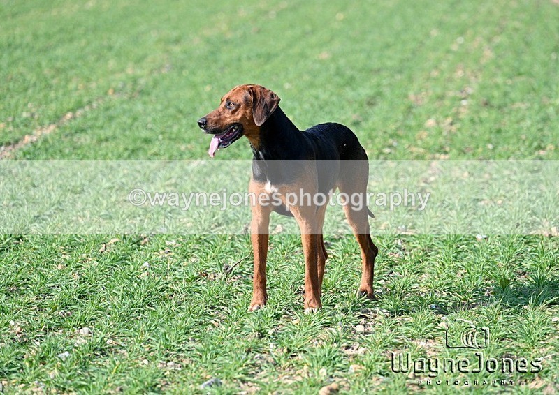 WJ7_5972 - Edited examples