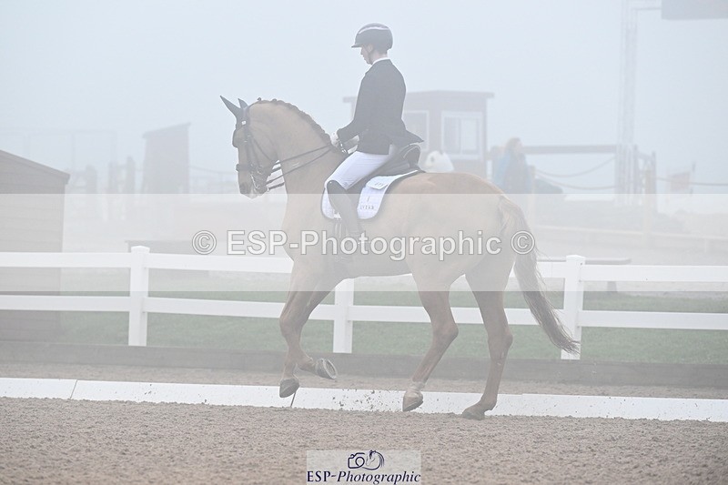 240217A-131418-02779 - 271-Tom.Carter-Rubin.Regal