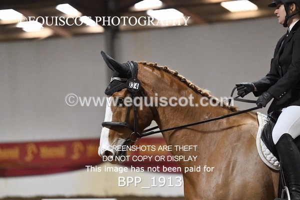 BPP_1913 - INTRO TEST 3