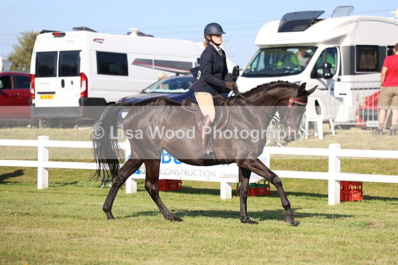3E7A5310 - Class 2: Rising Star Large Hack/Riding Horse