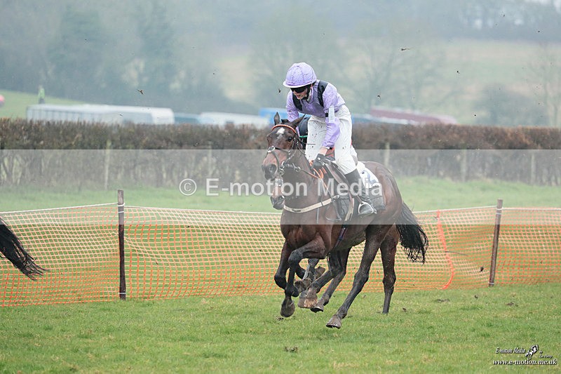 PtP 100324 303 - Pytchley with Woodland Point-to-Point Guilsborough 10/03/24