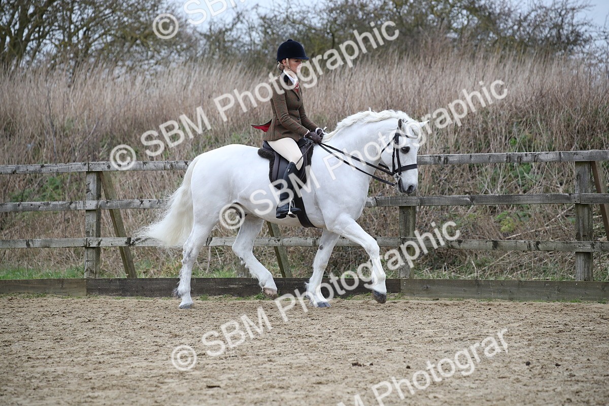 SBM_006295 - Class 10-13 - RIHS Small Large Breeds