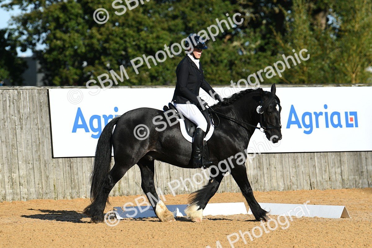 SBM_14514 - D4 - Small Tour Championship - Intro B