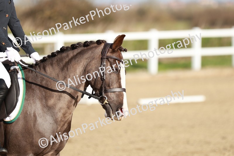 20260314-0095 - CT1 - Intro 1