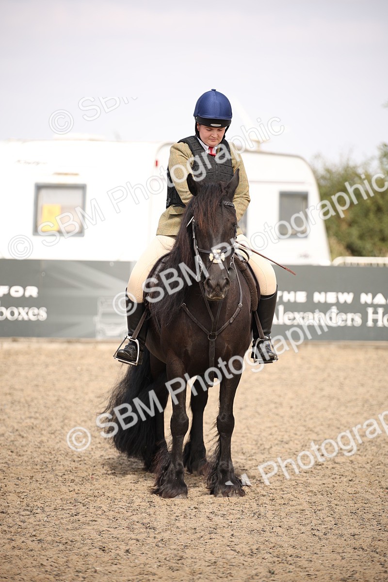 SBM_15069 - Class 408a - Working Veteran 70cm (15-19