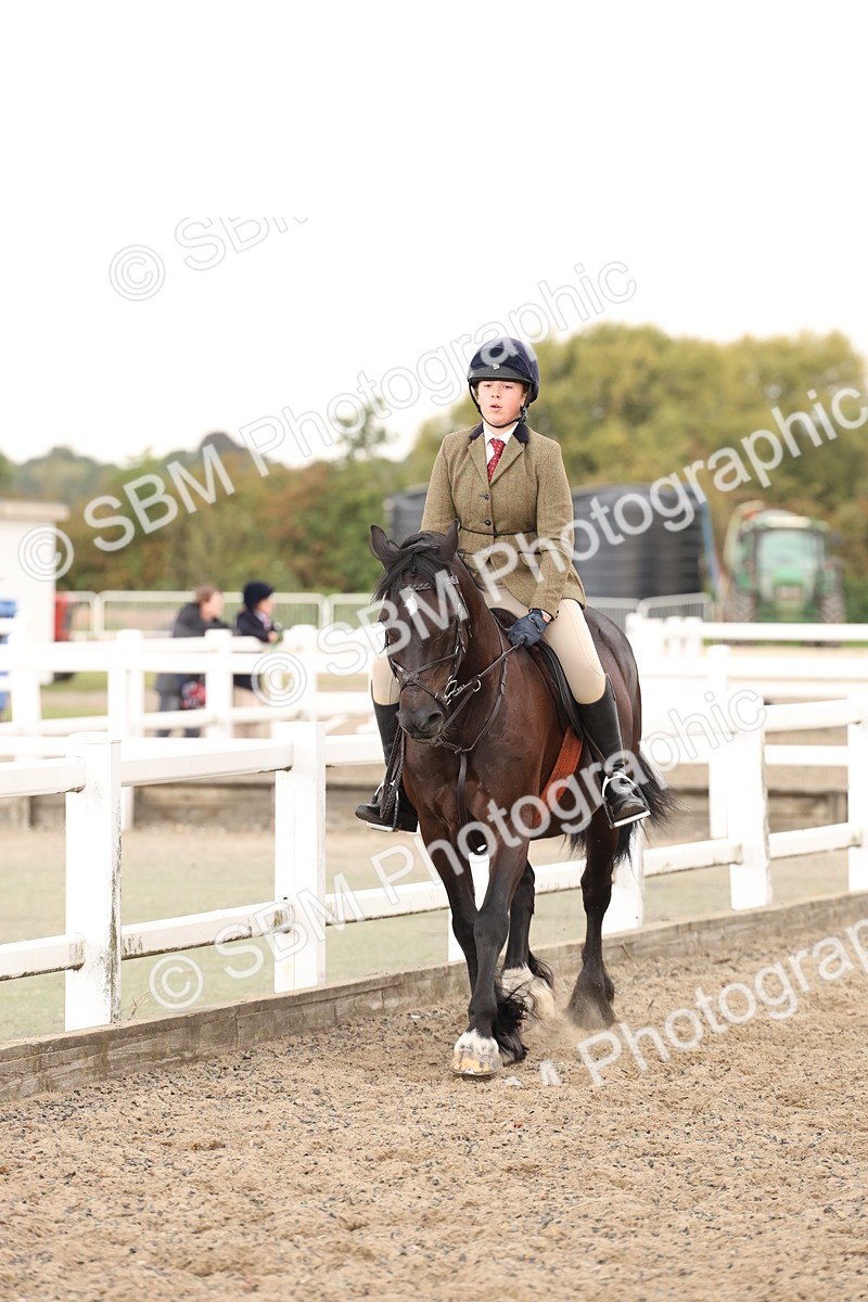 SBM_07553 - Class 59b -  Style & Performance - 80cm (20+)