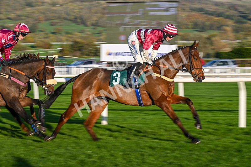 251025-Race 7-Crossgales King-0240 - Race 7