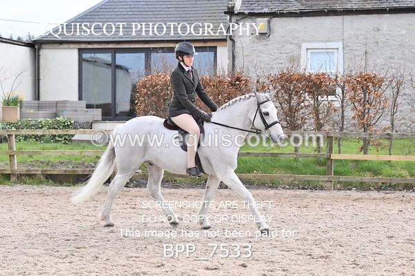 BPP_7533 - RING 1  (RIDDEN HORSES / IN HAND / VETERAN ETC)