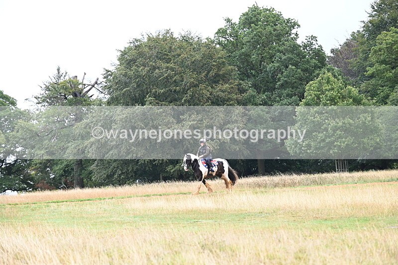 DSC_1912 - Time at Statue 12:13 to 12:32