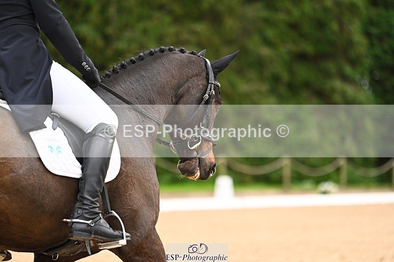 231020-154133-11923 - 215-ROYAL.CRUSADE-David.Doel-DR