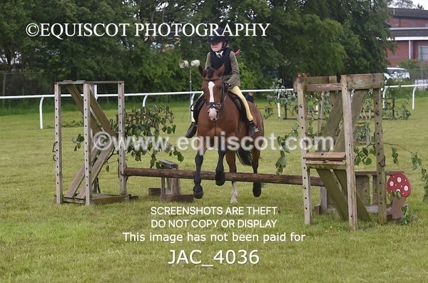 JAC_4036 - 40CM WORKING HUNTER