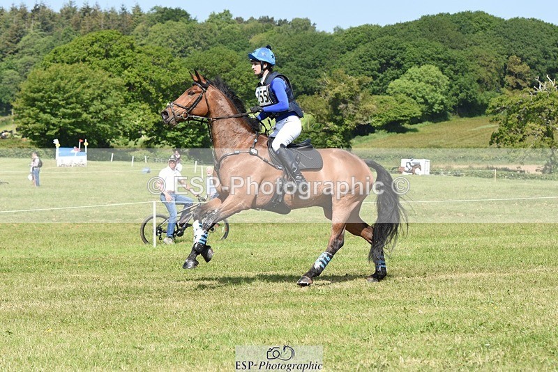 230527-102534-08219 - 255-HI_MR_HENRY-Henry_Hobby-XC