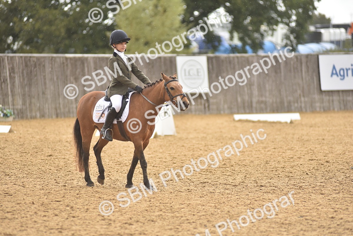 SBM_42390 - D22 - Junior Championship Intro 3