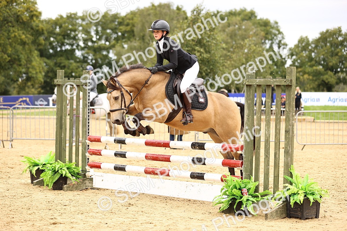 SBM_65835 - J17 - Junior Pony 80cm Championship