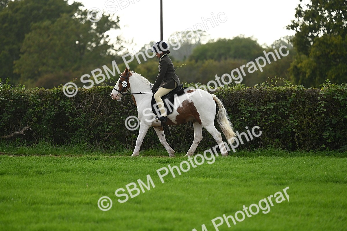 SBM_26631 - S7 - Novice & Newcomer Ridden Pony