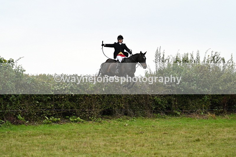 WJ7_4119 - Camera 1 Line 2