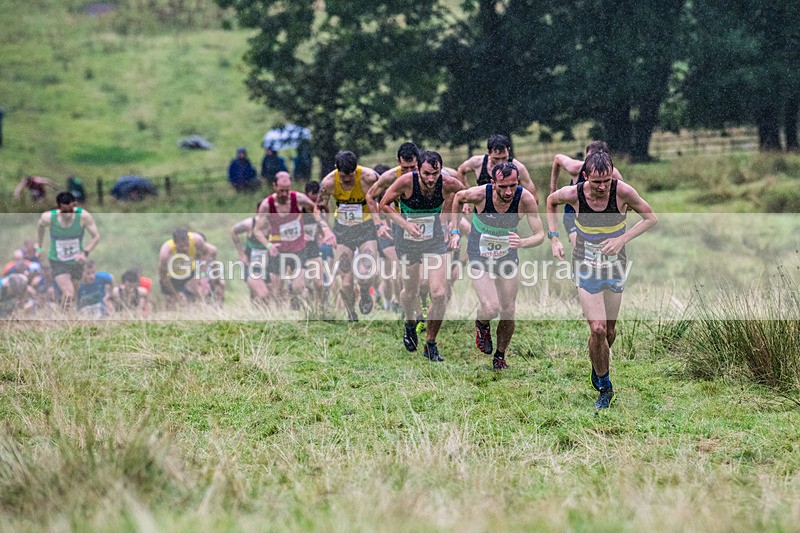 Grasmere Senior-21 - Grasmere Guides Senior Fell Race Sunday 25th August 2024
