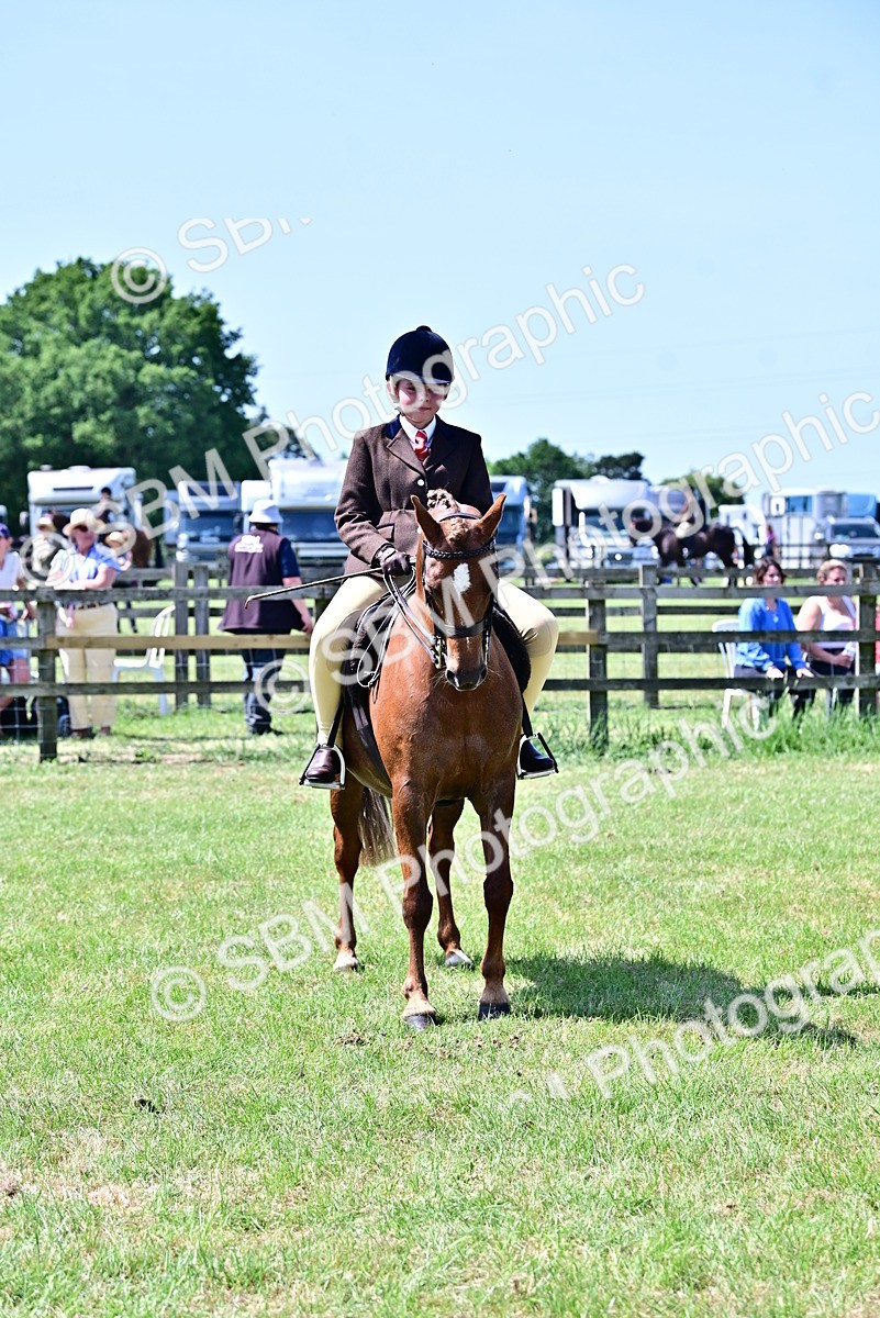 SBM_14017 - Class 95-97 - BSPS LHS Performance Ponies