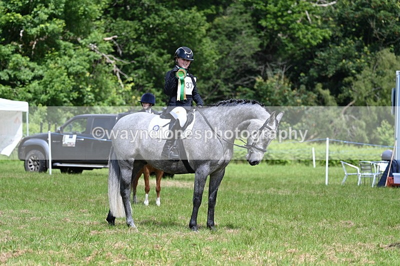 WJ7_1826 - Class 9 Pony Club Pony