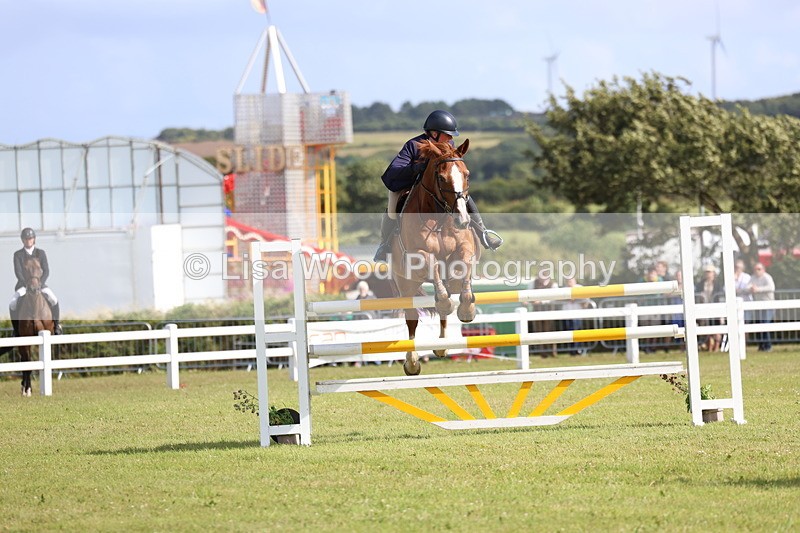 3E7A3502 - Class B: Showjumping Accumulator