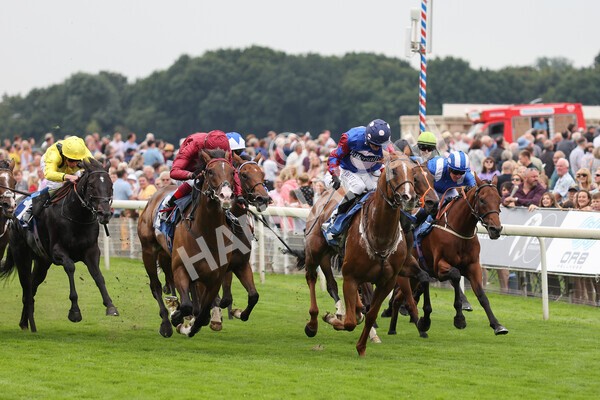 yr19082021r3-28 - Race 3 3.00pm Clipper Logistics Stakes
